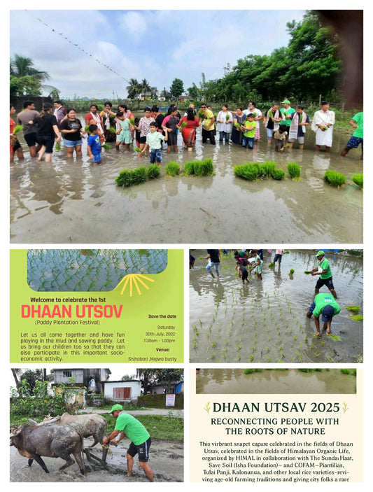 Dhaan Utsav: A Celebration of Sowing, Sustainability & Community