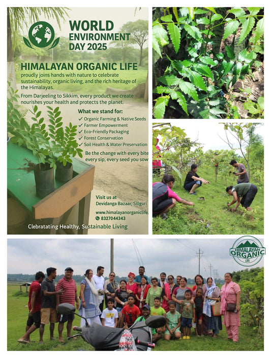 Tree Plantation Drive: Himalayan Organic Life Promotes a Healthy, Sustainable Lifestyle