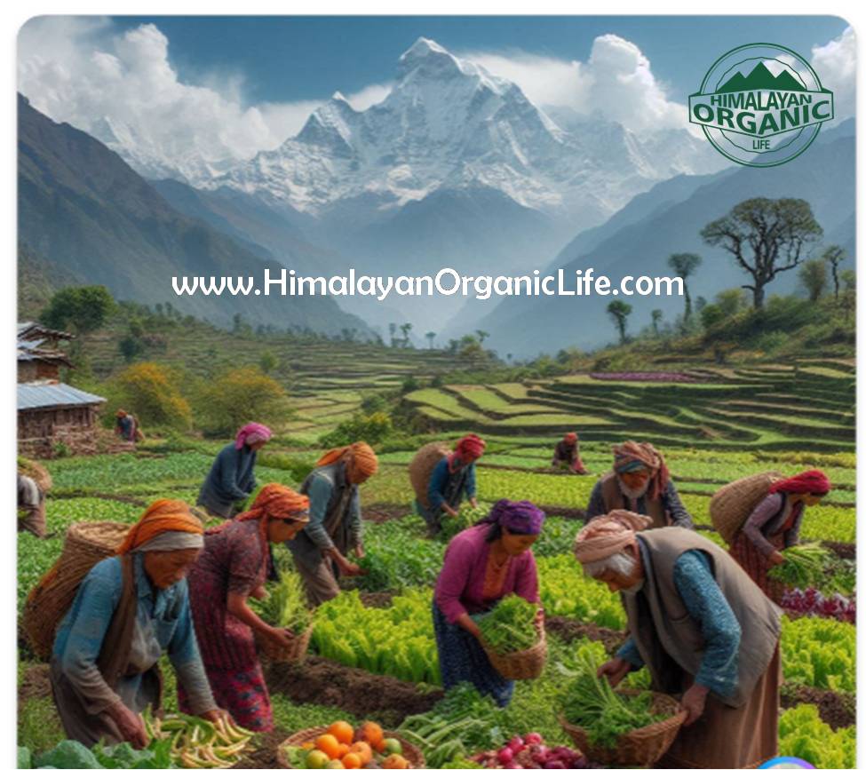 Himalayan Organic Life - The idea