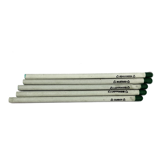 Paper Pencil (1 pc) | Recyclable with Seed on the end|