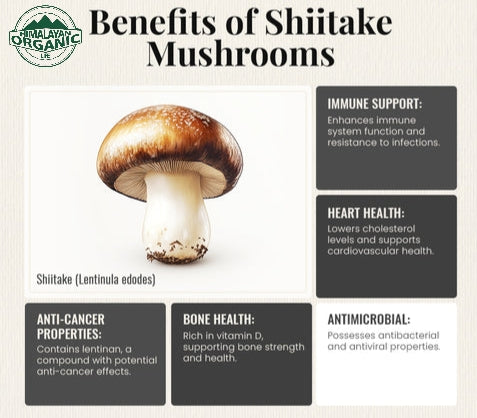 Dehydrated Shiitake Mushrooms( 30 gms)